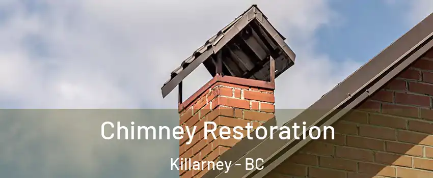  Chimney Restoration Killarney - BC