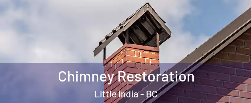  Chimney Restoration Little India - BC