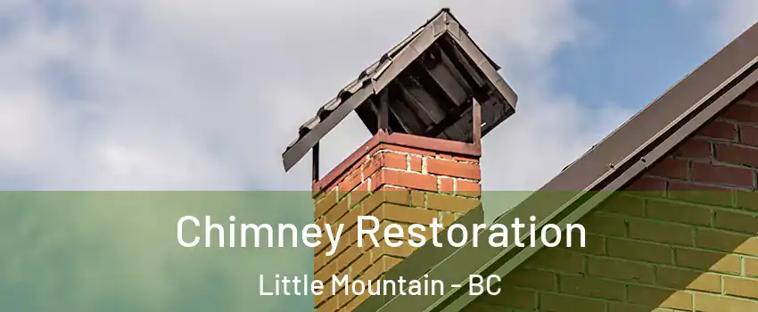  Chimney Restoration Little Mountain - BC