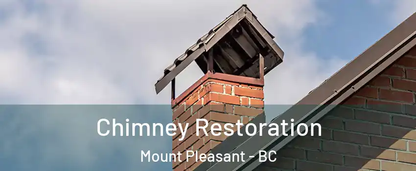  Chimney Restoration Mount Pleasant - BC