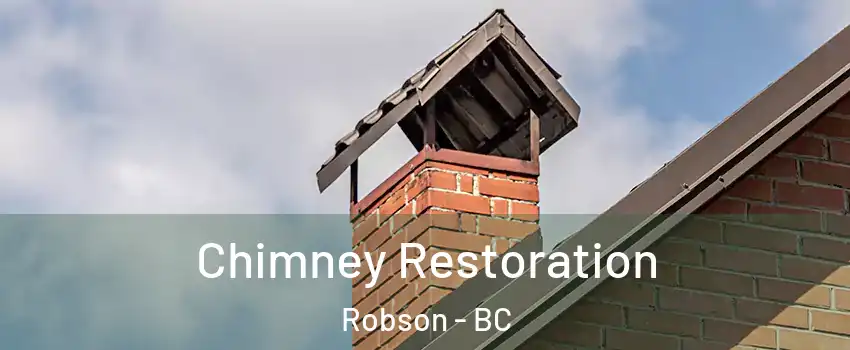  Chimney Restoration Robson - BC