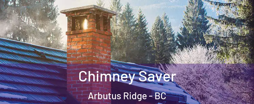  Chimney Saver Arbutus Ridge - BC