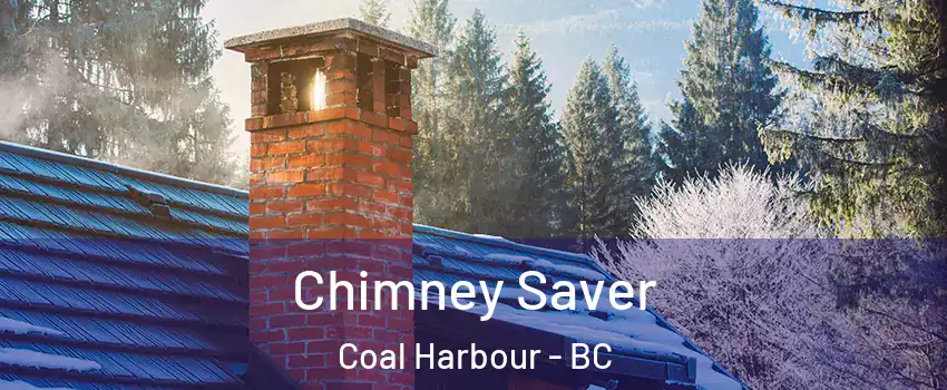  Chimney Saver Coal Harbour - BC