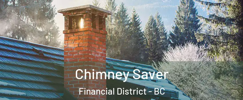  Chimney Saver Financial District - BC