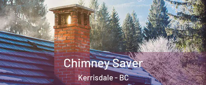  Chimney Saver Kerrisdale - BC