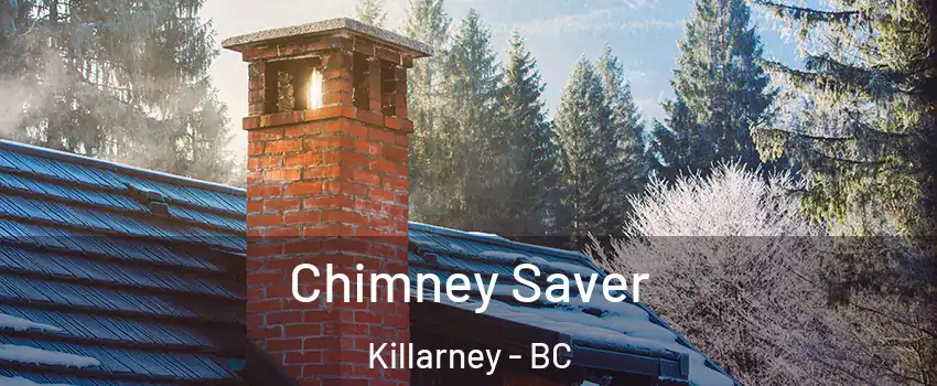  Chimney Saver Killarney - BC