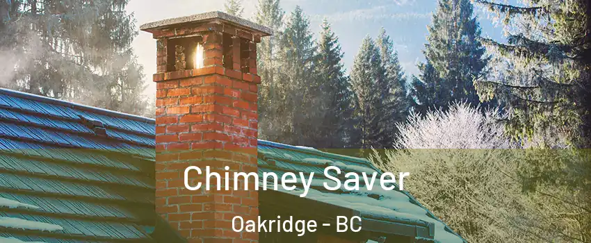  Chimney Saver Oakridge - BC