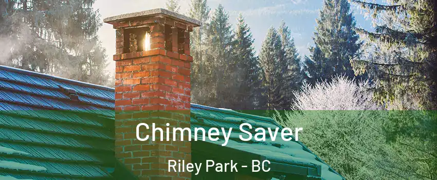  Chimney Saver Riley Park - BC