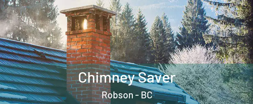  Chimney Saver Robson - BC