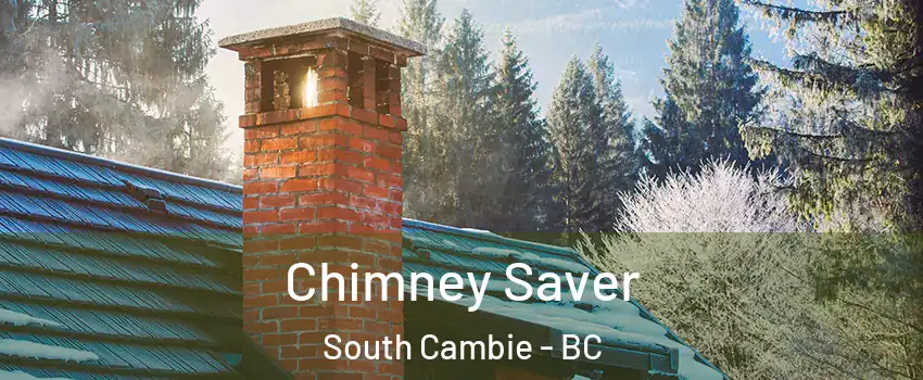  Chimney Saver South Cambie - BC