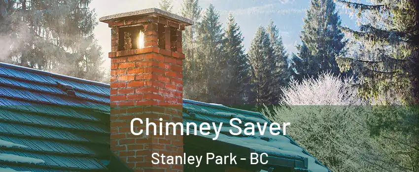  Chimney Saver Stanley Park - BC