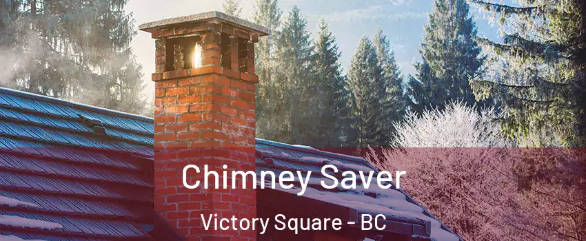  Chimney Saver Victory Square - BC