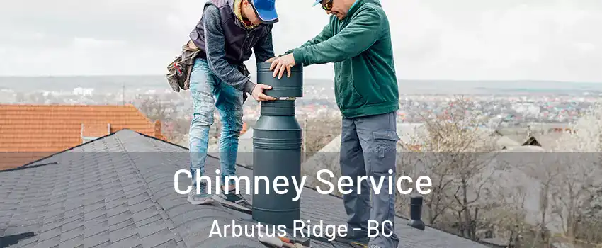  Chimney Service Arbutus Ridge - BC