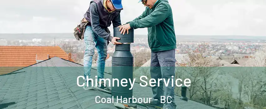  Chimney Service Coal Harbour - BC
