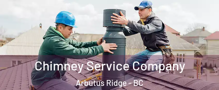  Chimney Service Company Arbutus Ridge - BC