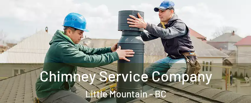  Chimney Service Company Little Mountain - BC