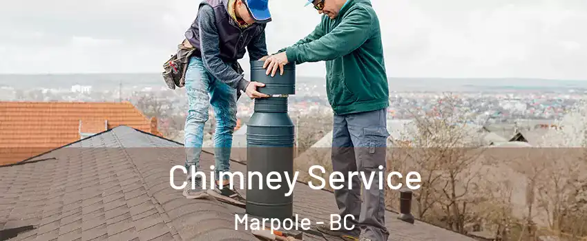  Chimney Service Marpole - BC