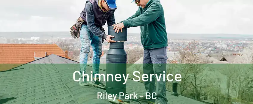  Chimney Service Riley Park - BC