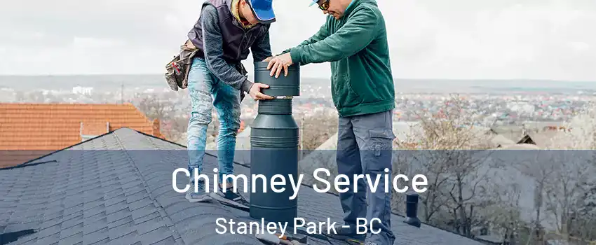 Chimney Service Stanley Park - BC