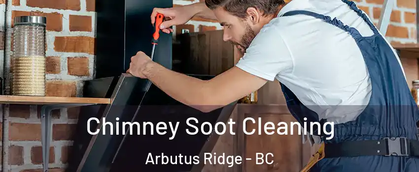  Chimney Soot Cleaning Arbutus Ridge - BC