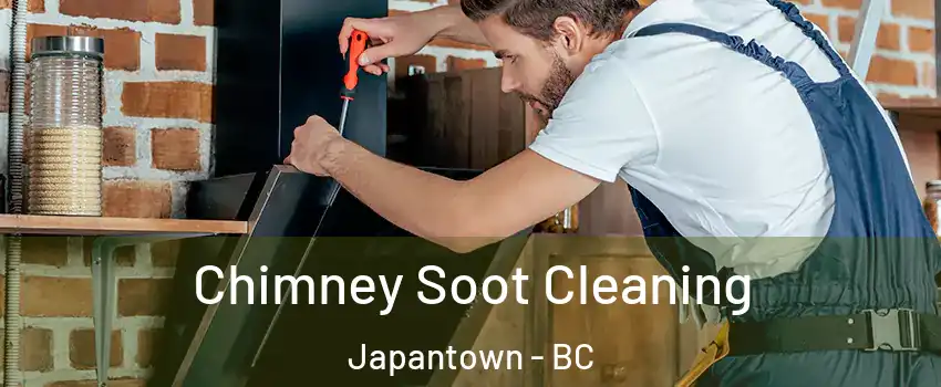  Chimney Soot Cleaning Japantown - BC