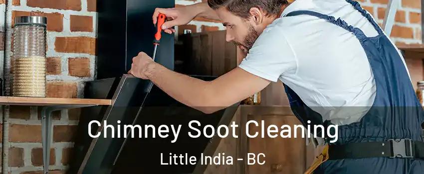  Chimney Soot Cleaning Little India - BC