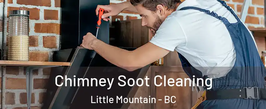  Chimney Soot Cleaning Little Mountain - BC