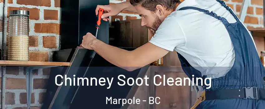  Chimney Soot Cleaning Marpole - BC