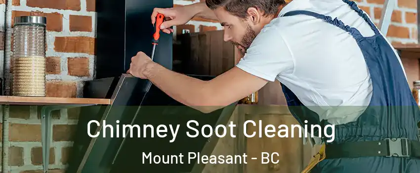  Chimney Soot Cleaning Mount Pleasant - BC