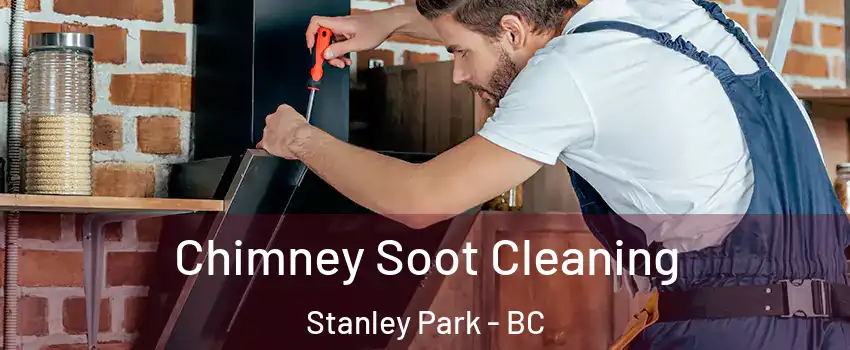  Chimney Soot Cleaning Stanley Park - BC