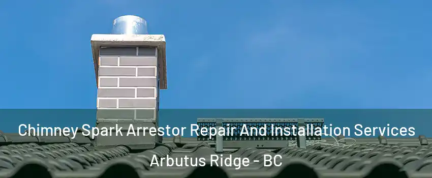  Chimney Spark Arrestor Repair And Installation Services Arbutus Ridge - BC
