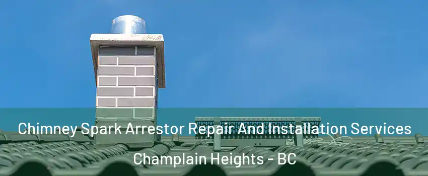  Chimney Spark Arrestor Repair And Installation Services Champlain Heights - BC