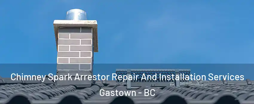  Chimney Spark Arrestor Repair And Installation Services Gastown - BC