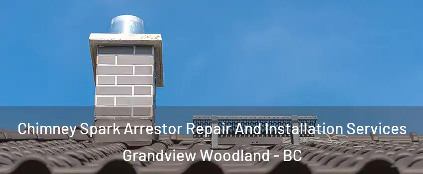  Chimney Spark Arrestor Repair And Installation Services Grandview Woodland - BC