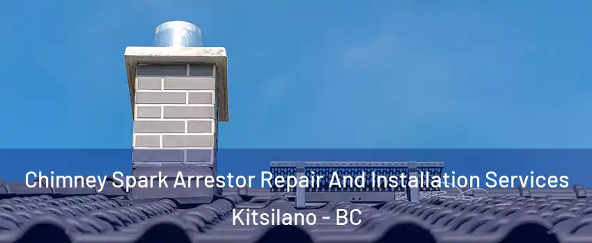 Chimney Spark Arrestor Repair And Installation Services Kitsilano - BC