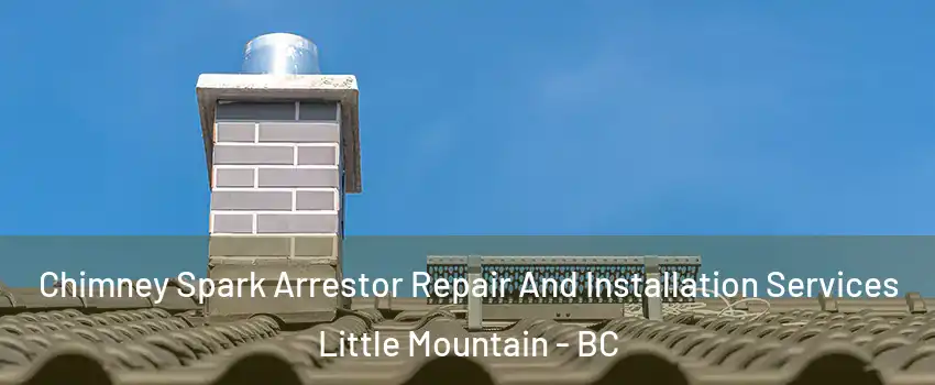  Chimney Spark Arrestor Repair And Installation Services Little Mountain - BC