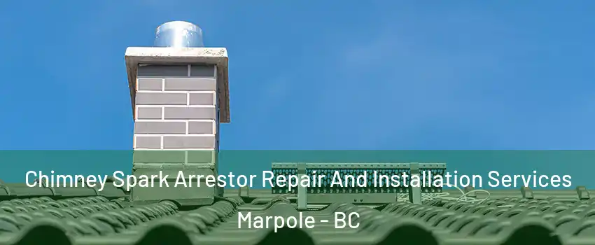  Chimney Spark Arrestor Repair And Installation Services Marpole - BC