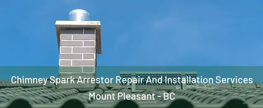  Chimney Spark Arrestor Repair And Installation Services Mount Pleasant - BC