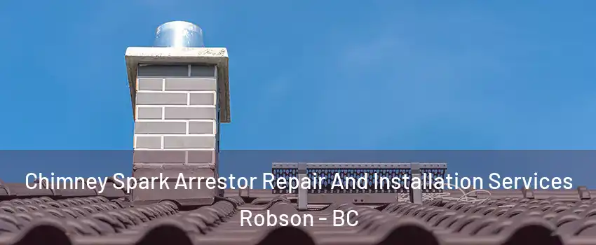  Chimney Spark Arrestor Repair And Installation Services Robson - BC