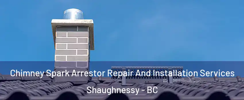  Chimney Spark Arrestor Repair And Installation Services Shaughnessy - BC