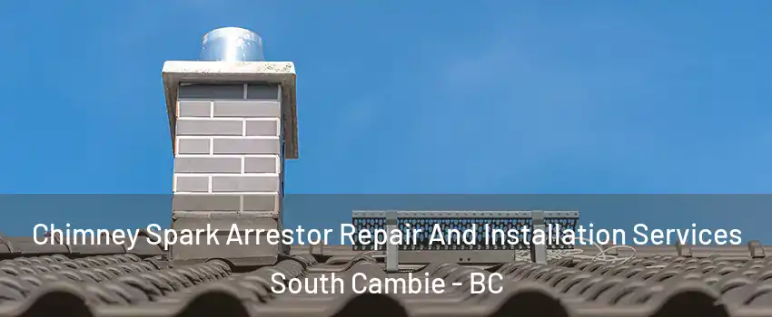  Chimney Spark Arrestor Repair And Installation Services South Cambie - BC