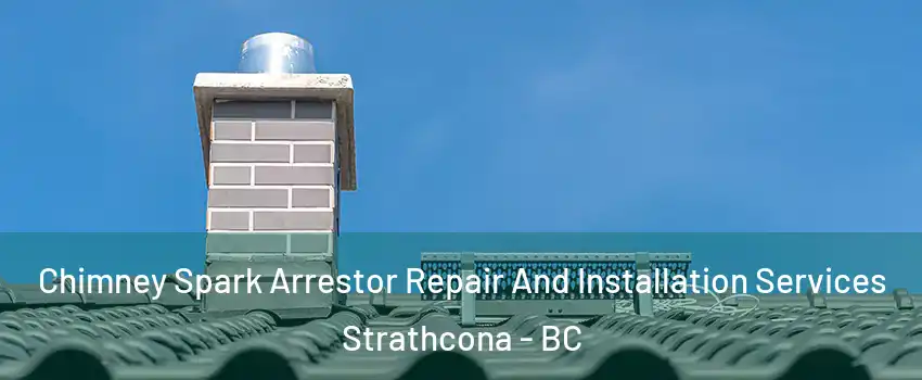  Chimney Spark Arrestor Repair And Installation Services Strathcona - BC