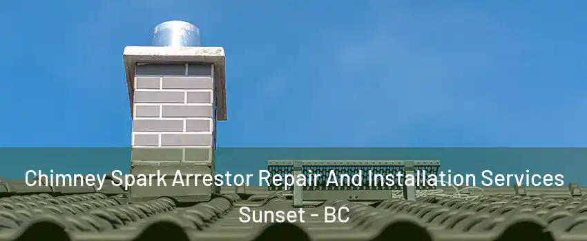 Chimney Spark Arrestor Repair And Installation Services Sunset - BC