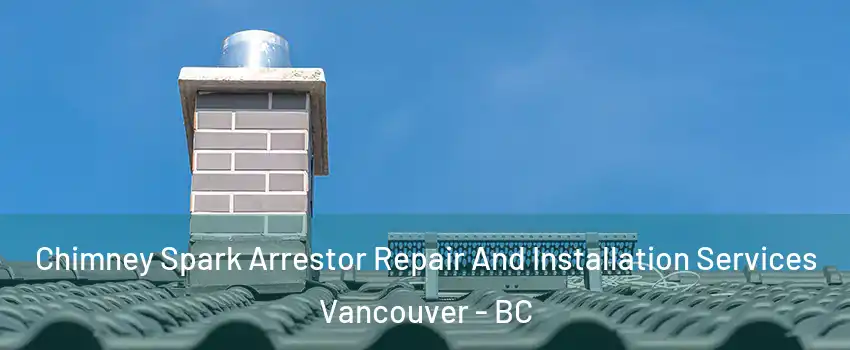  Chimney Spark Arrestor Repair And Installation Services Vancouver - BC