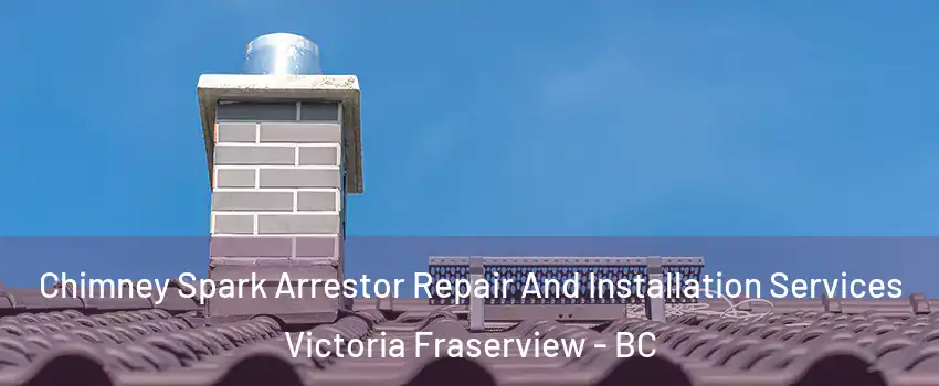  Chimney Spark Arrestor Repair And Installation Services Victoria Fraserview - BC