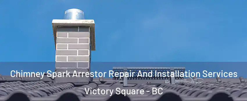  Chimney Spark Arrestor Repair And Installation Services Victory Square - BC