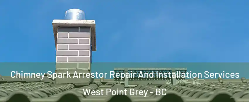  Chimney Spark Arrestor Repair And Installation Services West Point Grey - BC