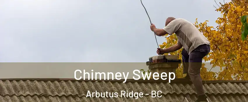  Chimney Sweep Arbutus Ridge - BC