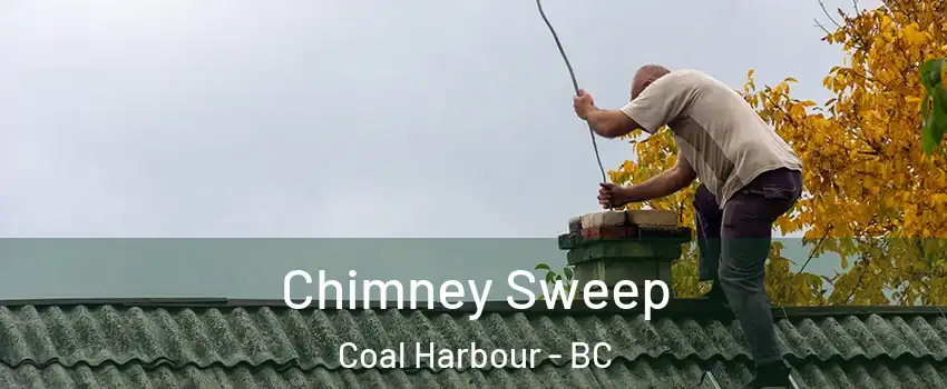  Chimney Sweep Coal Harbour - BC