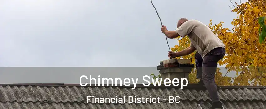  Chimney Sweep Financial District - BC